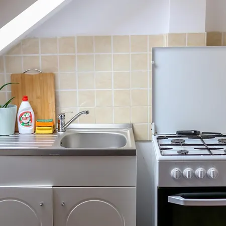 Old Town Relaxing&cozy Apartmán Temešvár