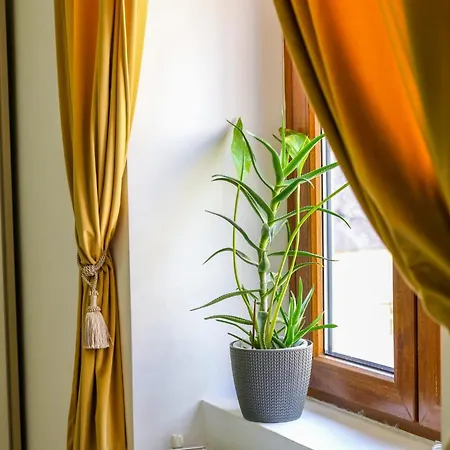 Old Town Relaxing&cozy Apartmán Temešvár