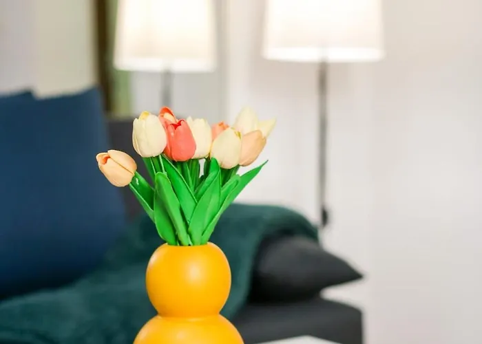 Old Town Relaxing&cozy Timişoara