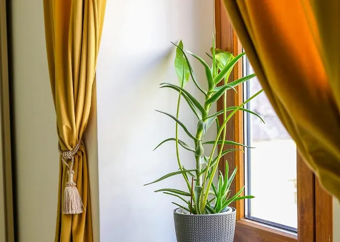 Old Town Relaxing&cozy Lägenhet Timişoara